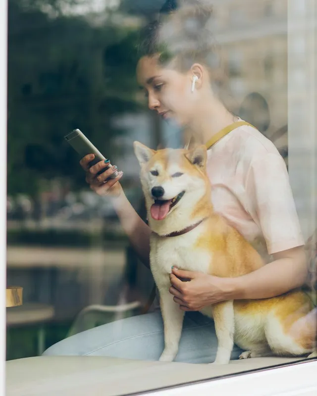 Cliente pesquisando no celular