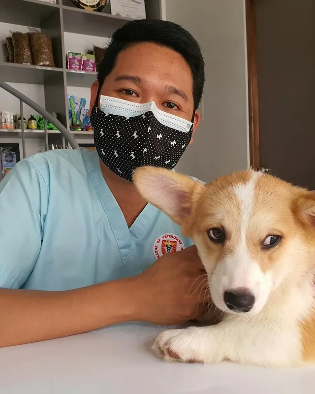Veterinário com cachorro